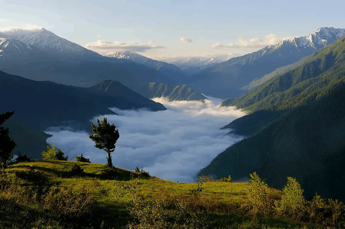 Национальные парки и заповедники Дагестана: природа нетронутого Кавказа