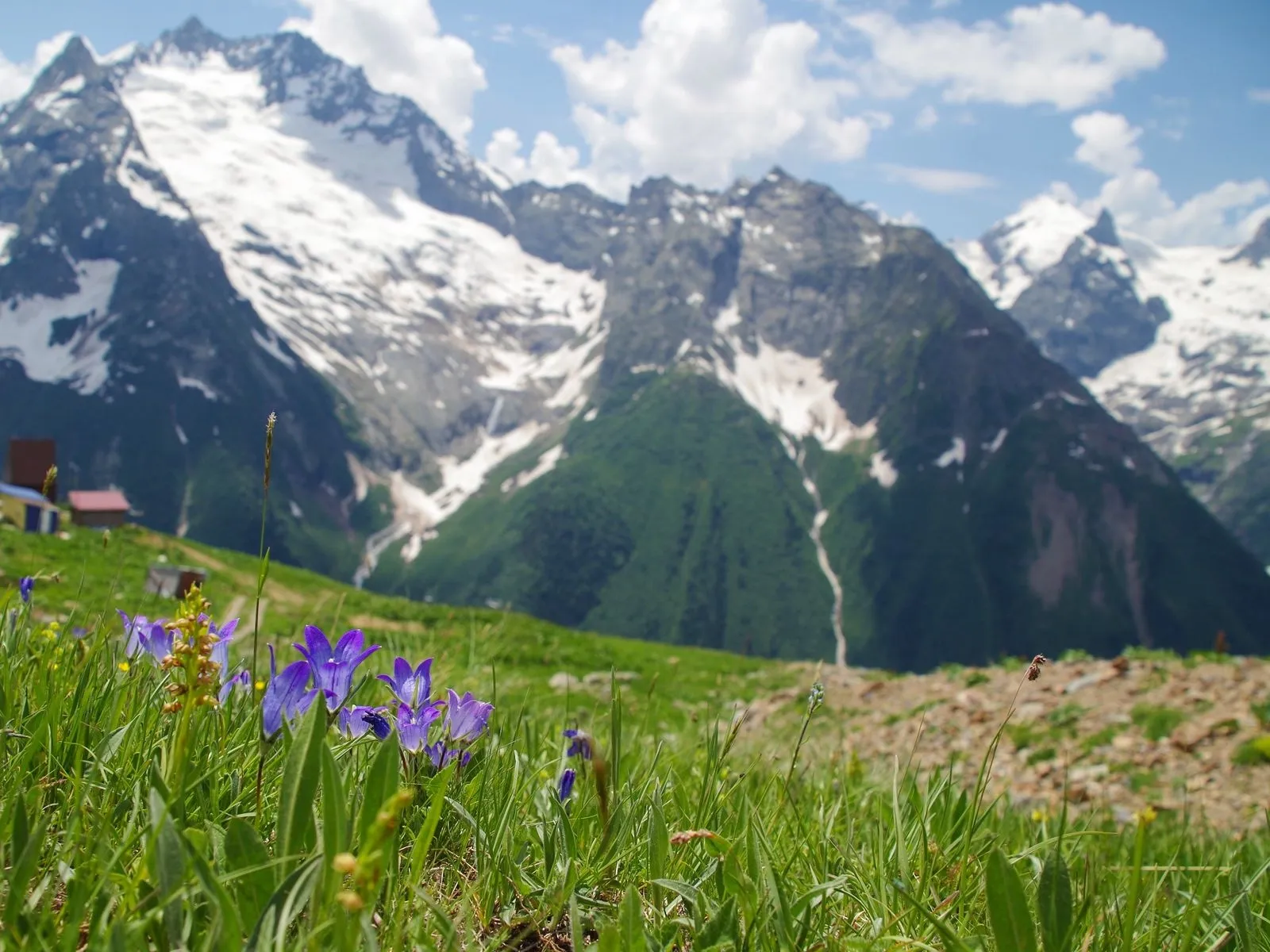 Сравнение Домбая и Архыза: куда лучше поехать