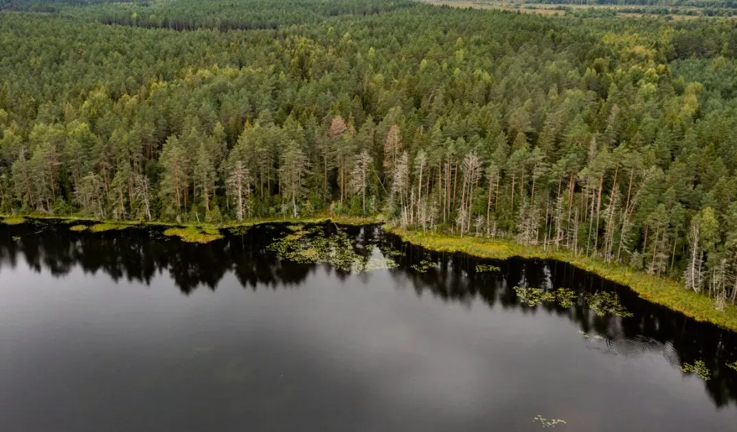 10 лучших мест для рыбалки в Новгородской области