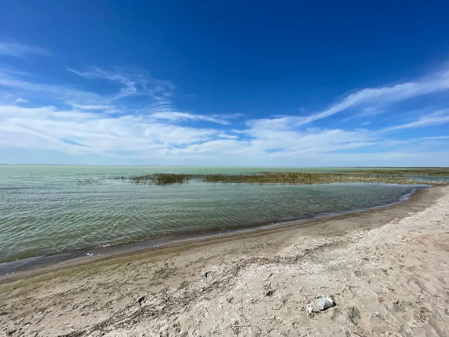 Озеро Топольное в Бурлинском районе: уникальная флора