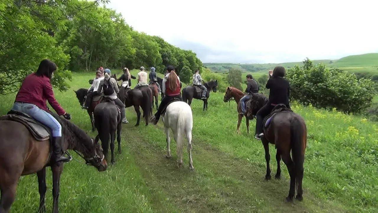 Где покататься на лошадях в Ставропольском крае: лучшие конные клубы и базы отдыха
