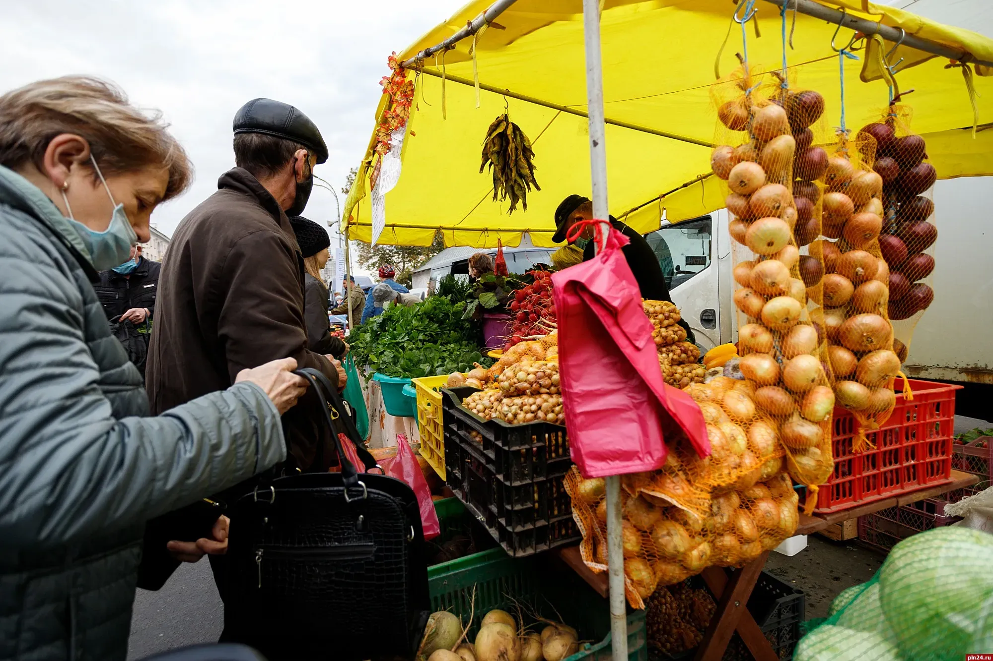 Осенние сельскохозяйственные ярмарки в Новгородской области