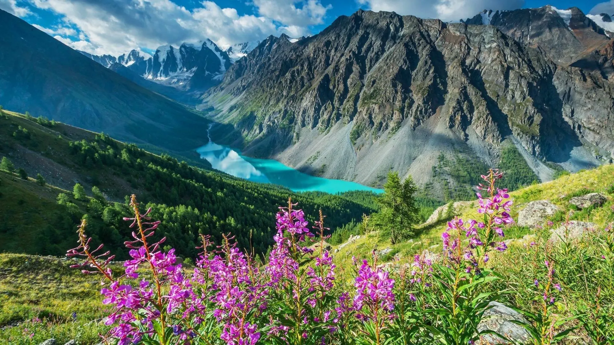 Алтайский край