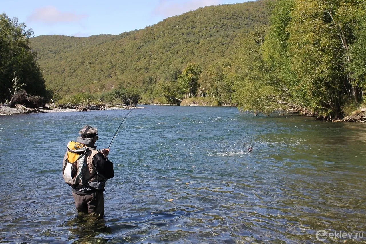 Рыбалка на реке Кубань: лучшие места и разрешения