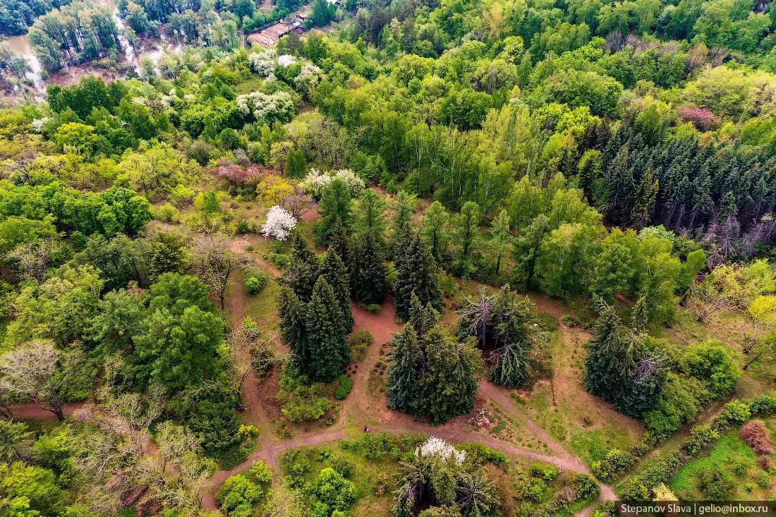 Дендрологический парк в Холме: коллекция растений и история создания