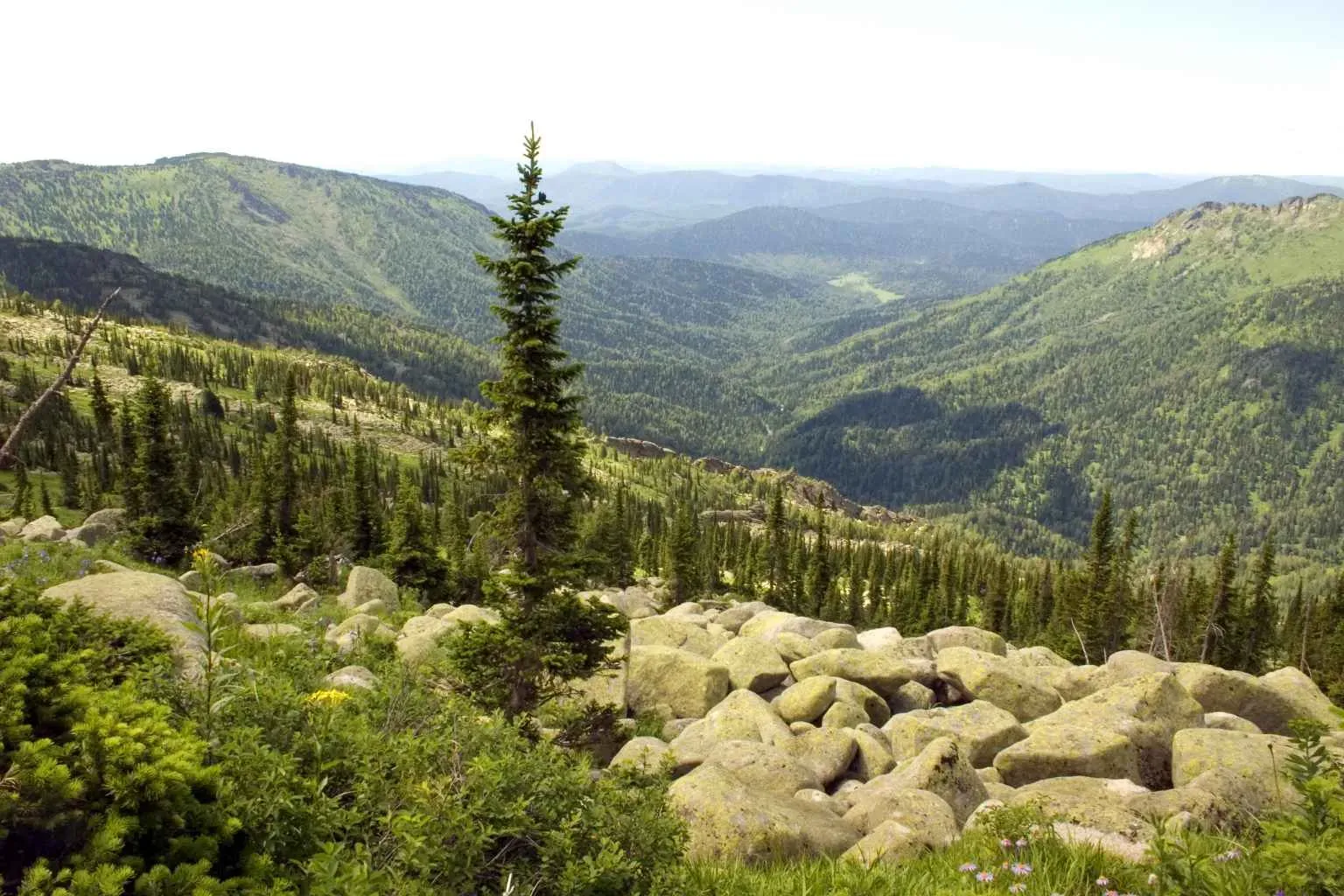 Тигирекский заповедник: как попасть и что посмотреть