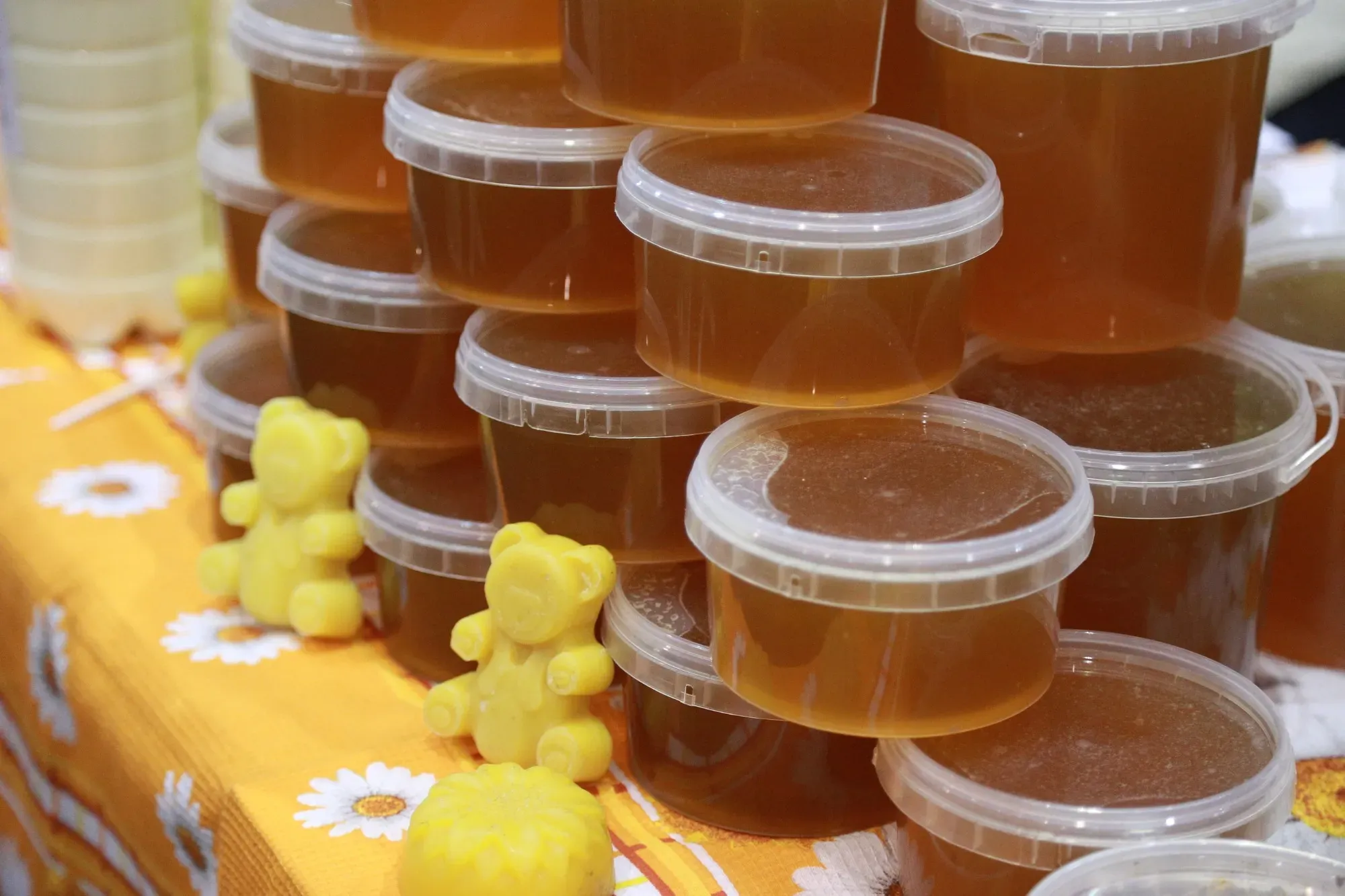 Новгородский мед: лучшие пасеки и сорта