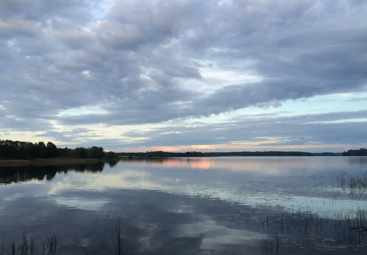 Озеро Заозерье: дикий отдых и грибные места