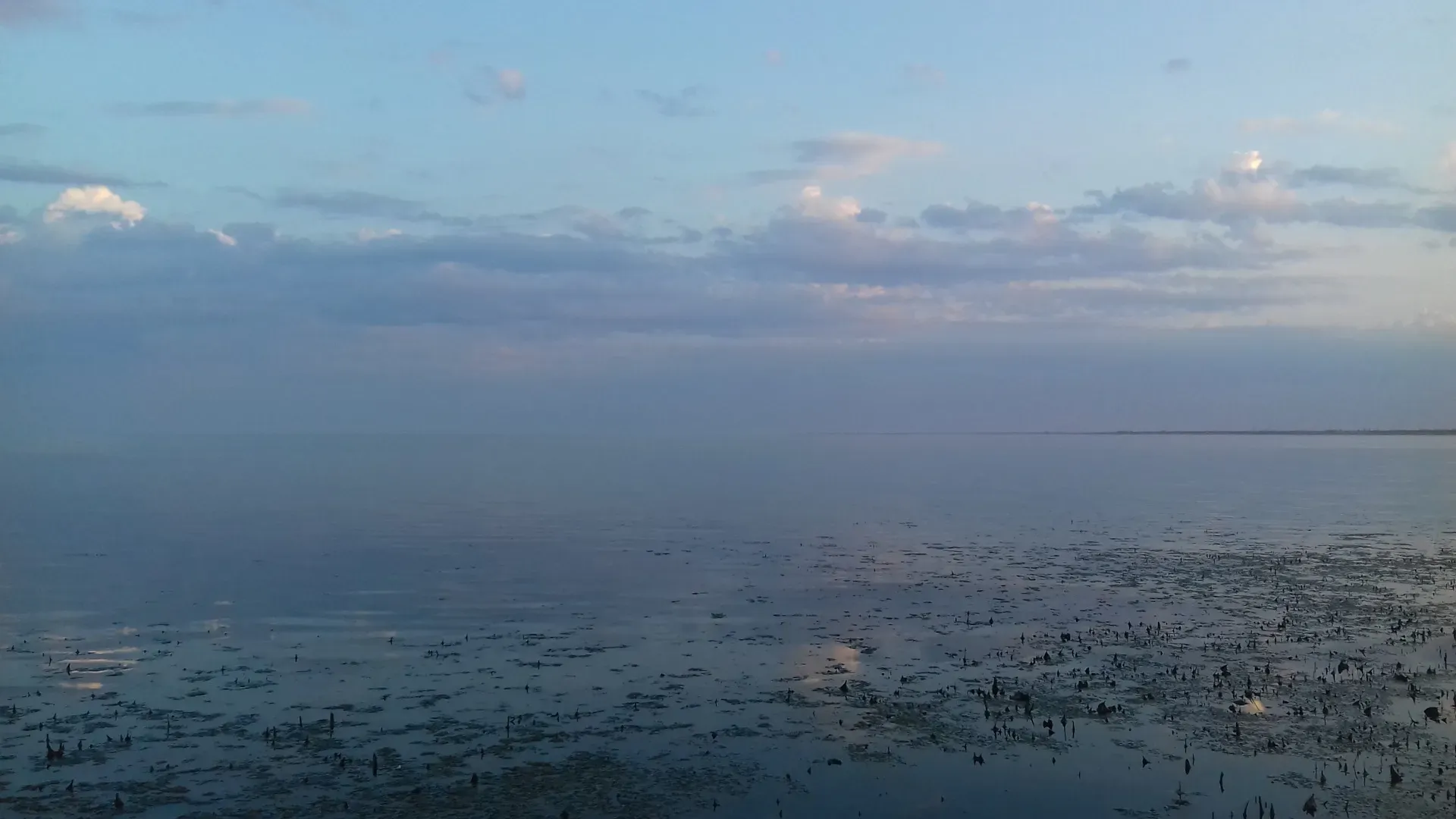 Кулундинское озеро: самое большое озеро Алтайского края