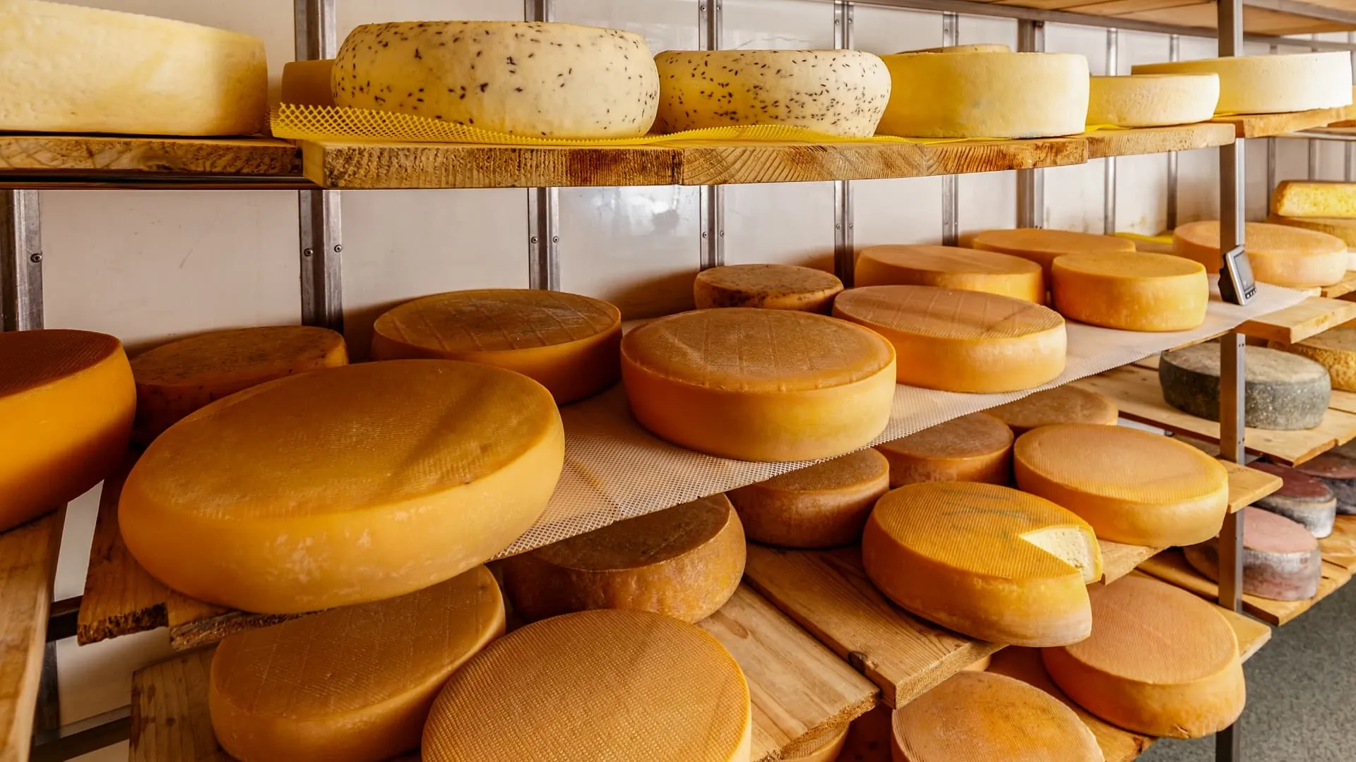 Сыроварни Карачаево‑Черкессии: фермерские продукты с горным вкусом