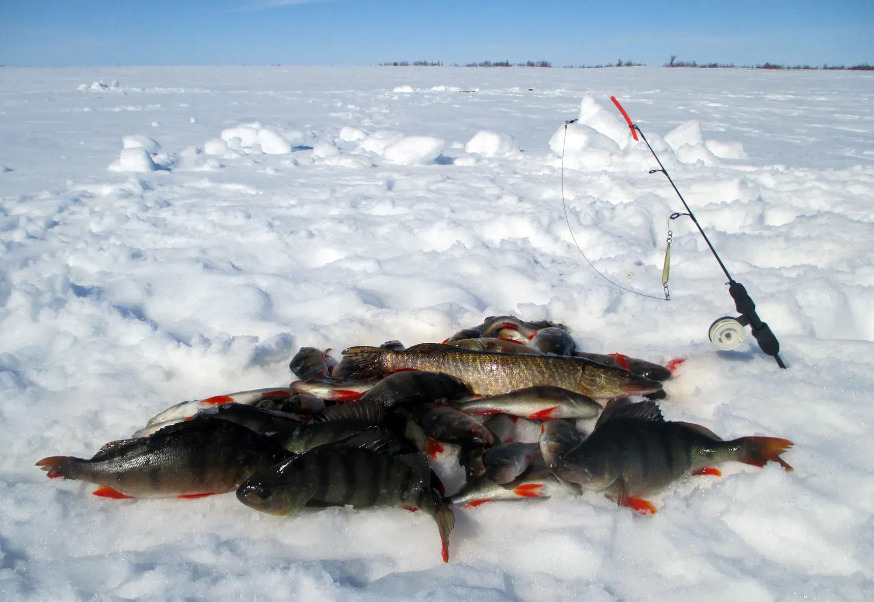 Зимняя рыбалка на озере Ильмень: особенности и правила