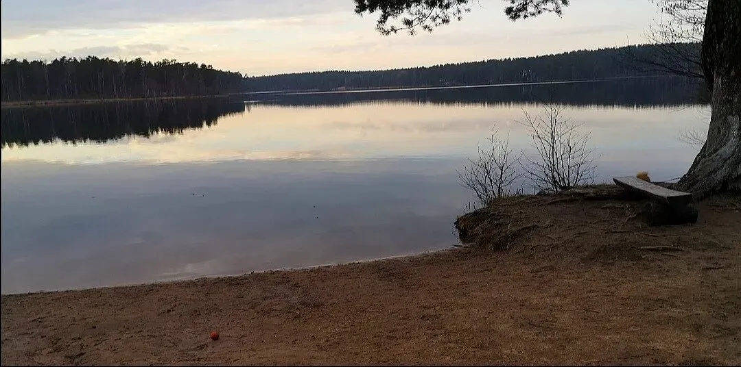 Озеро Щучье в Троицком районе: рыбалка и отдых