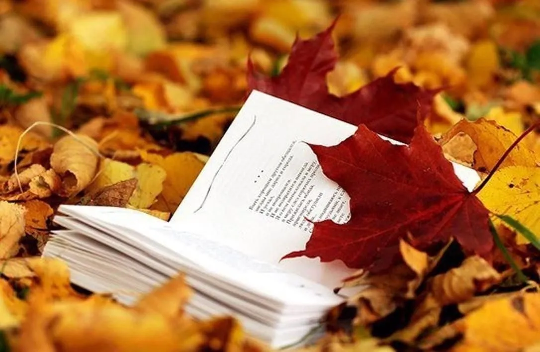 Осенние литературные чтения в Старой Руссе