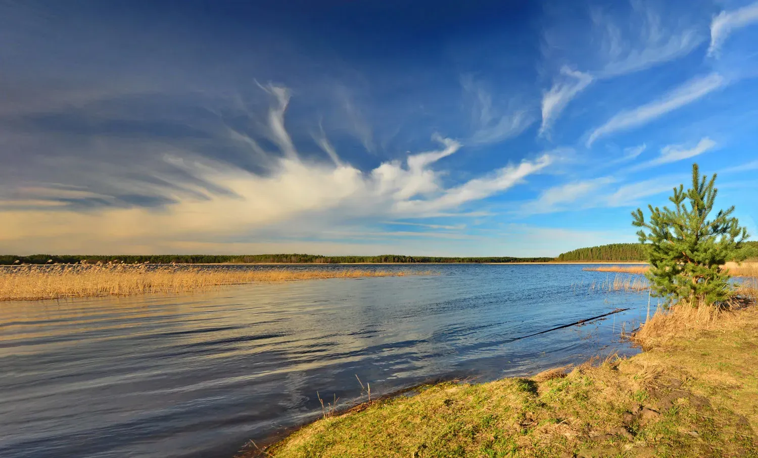 Йога-туры на берегах озера Селигер