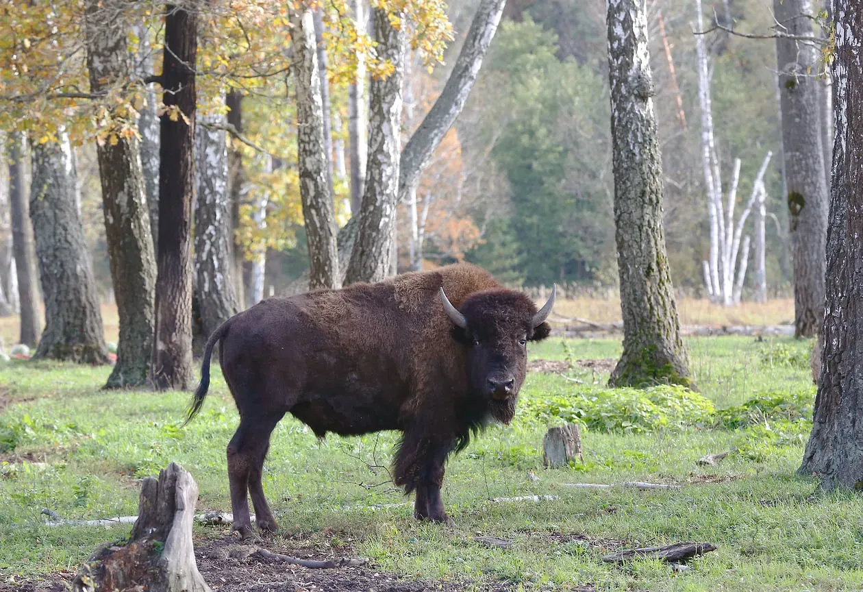 Фотосафари по заповедным местам с гидом-экологом