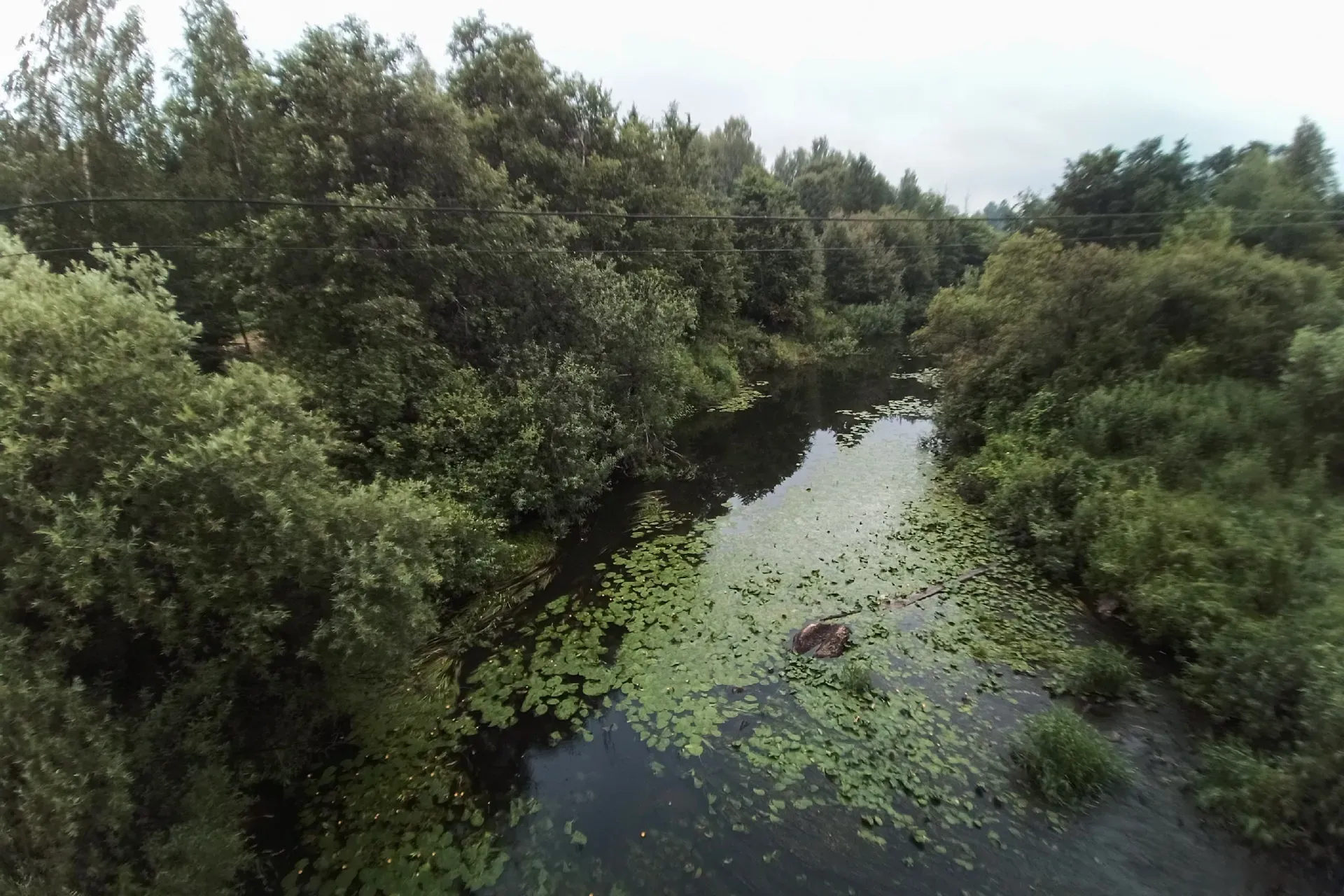 Река Холова: сплав для начинающих