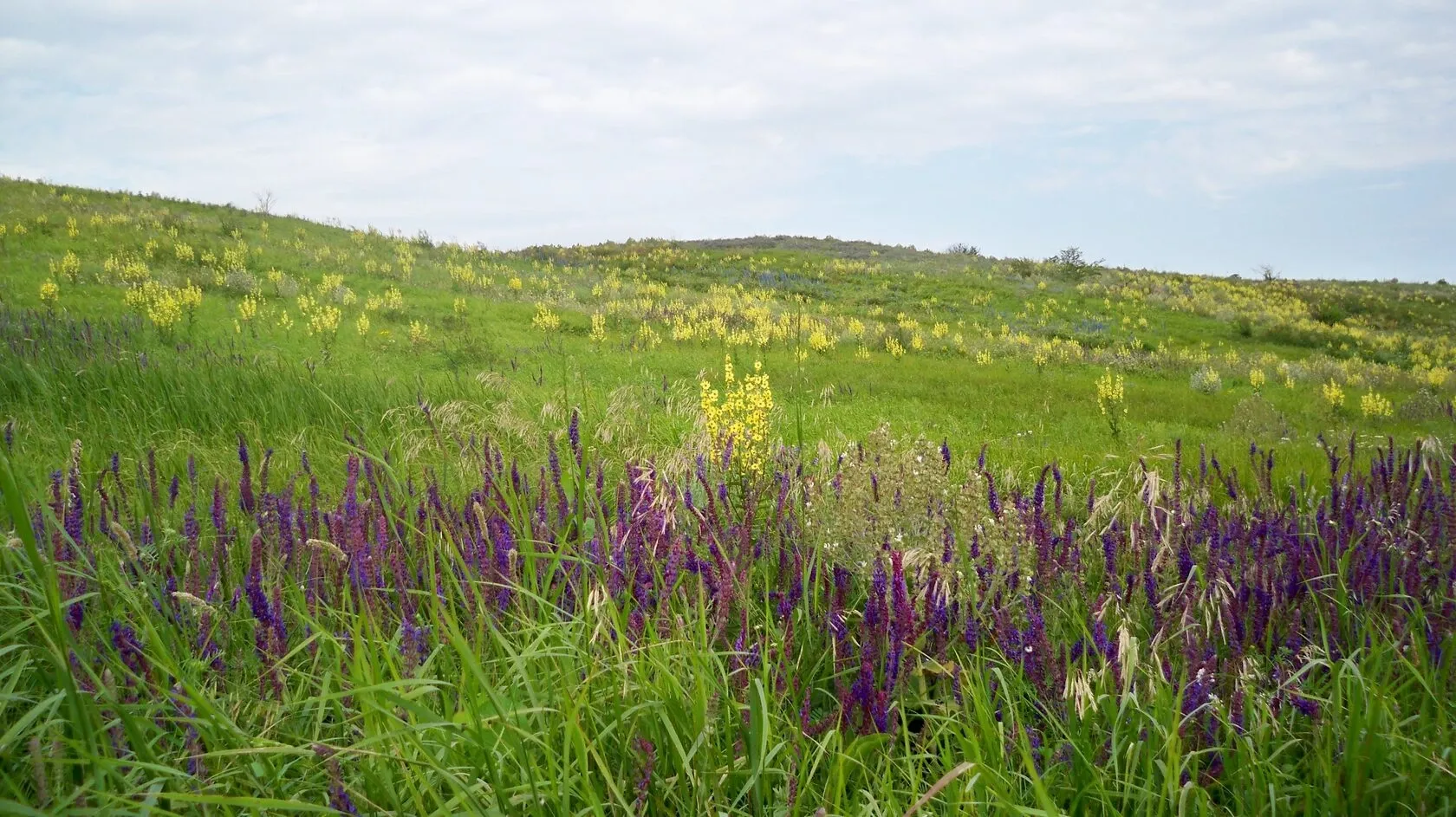 Ставропольский край