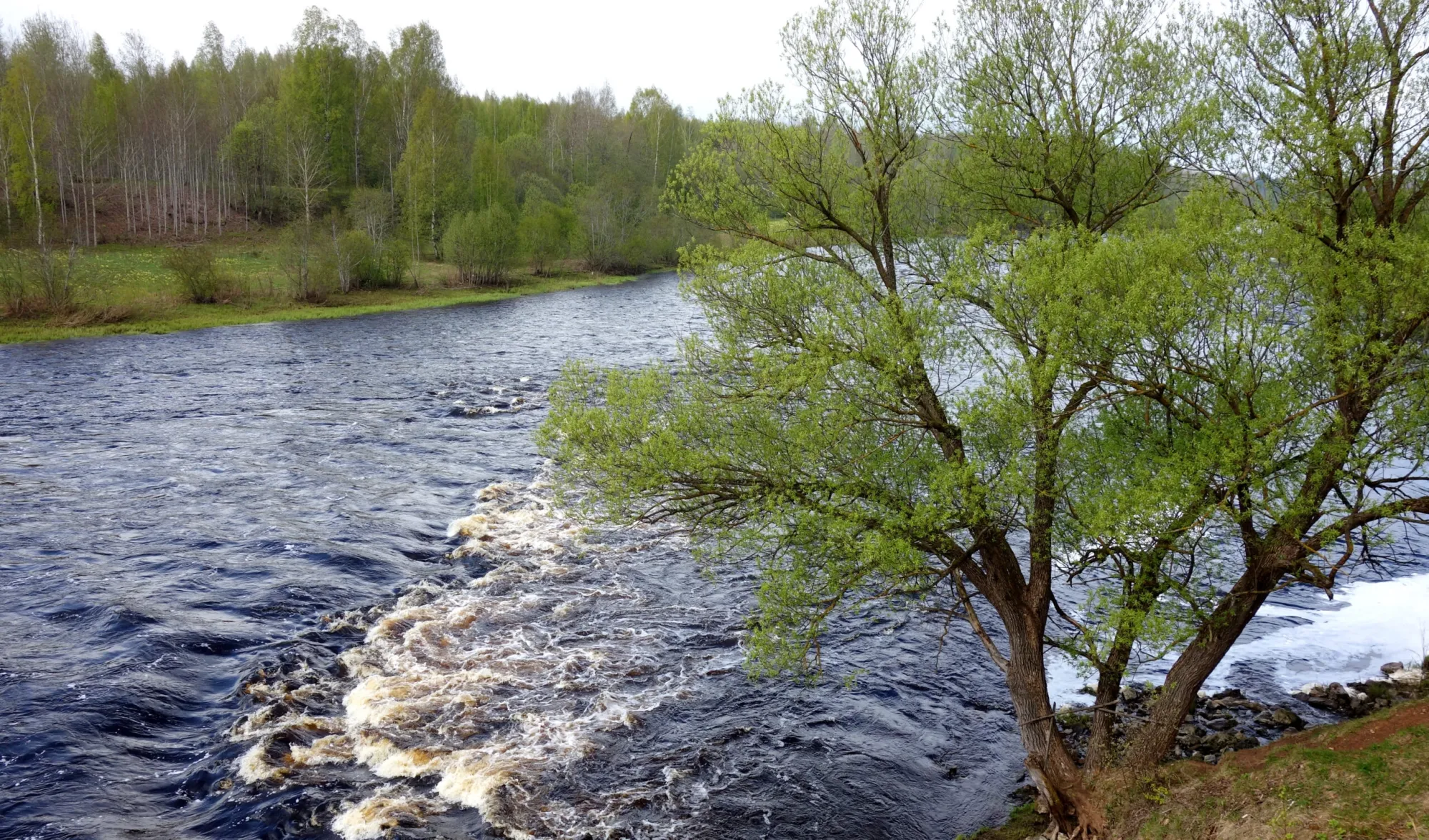 5 самых живописных рек для сплавов Новгородской области